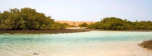 Ras Mohammed National Park by Kat Rowe