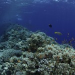 Blue Hole: Saddle