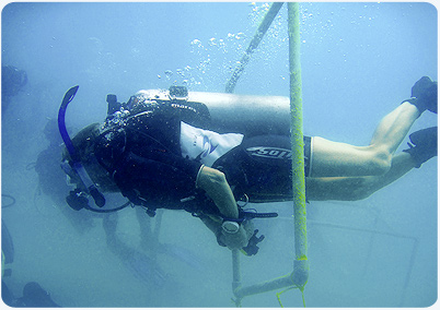 buoyancy training