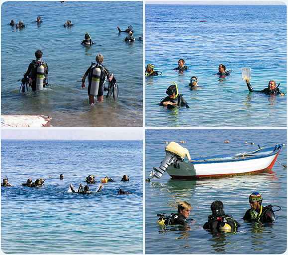 open water exam