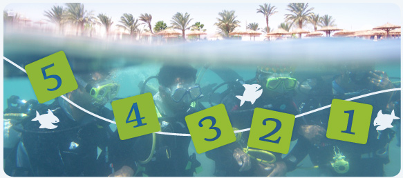 PADI Scoring System