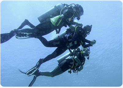navigation training