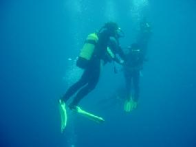 Divers in the blue